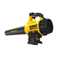 پادری پرتردد